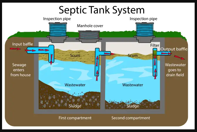 What Preventive Measures Can I Implement to Protect My Septic Tank?