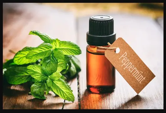 What is a peppermint test?